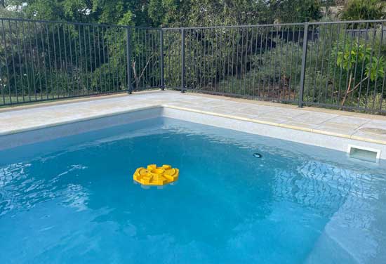 Bird Island being used in a swimming pool