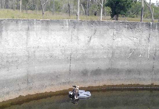Kookaburra saved from drowning on bird island in large tank